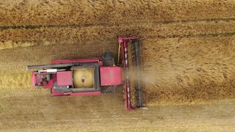 Top view of red combine harvester working in field, aerial agriculture scene Stock Footage 246282925