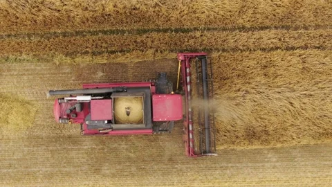 Top view of red combine harvester working in field, aerial agriculture scene Stock Footage 246283003