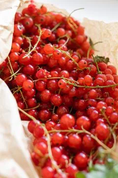 Top view of red currant berries in paper bag. Summer healthy harvest food Stock Photos