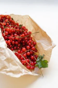 Top view of red currant berries in paper bag. Summer healthy harvest food Stock Photos