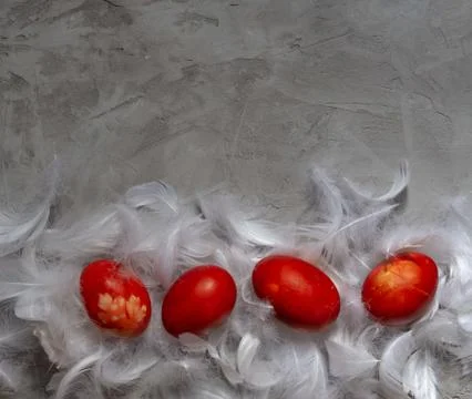 Top view of red easter eggs on white feathers on a gray background with horiz Stock Photos