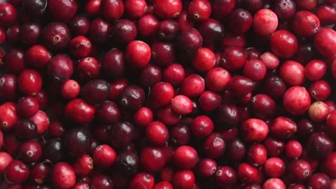 Top view of Red fresh cranberries rotating Stock Footage 142826095