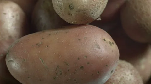 Top view of red Potatoes rotating. Stock Footage 63345877