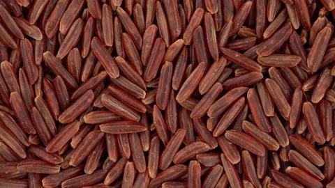 Top view of red rice rotating. Closeup. Macro. Video stock 170664614