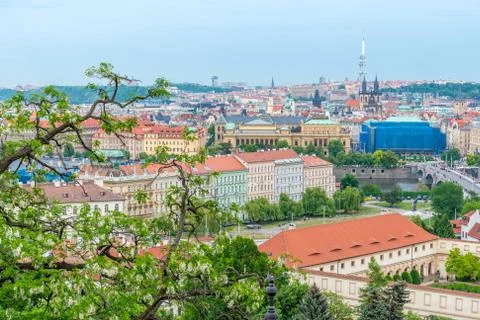 Top view to red roofs and green trees skyline of Prague city Czech republic. Stock Photos