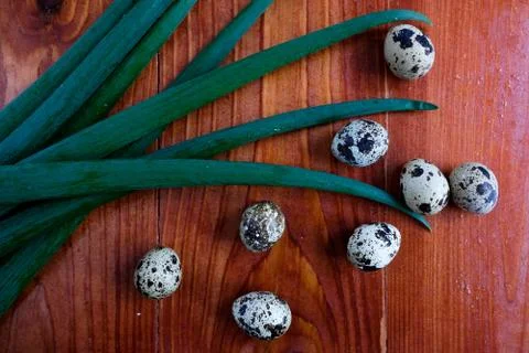 Top view on a red table. on the table are quail eggs and leaves of greens or spr Stock Photos