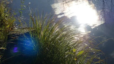 Top view of reflection sunlight and clouds at surface of pond, 4k shot Stock Footage 81428820