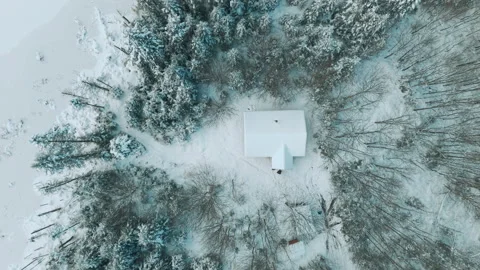 Top View of Remote Cabin in Boreal Forest During Winter, Quebec Stock Footage 322122034