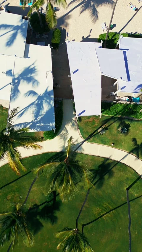 Top view: residence with paths and lawn into tourist beach with loungers merging Stock Footage 309940391