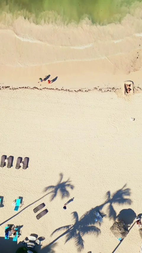 Top view: residence with paths and lawn into tourist beach with loungers merging Stock Footage 309942087