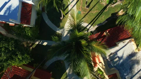 Top view: residence with paths, palms and lawn Stock Footage 311340799