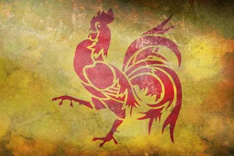 Top view of retro flag Wallonia, Belgium with grunge texture. Belgian patriot Stock Illustration