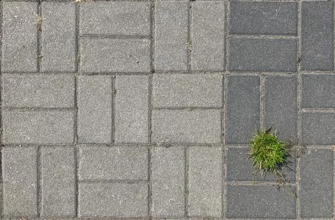 Top view of retro stone path overgrown by grass and herbs. Grunge stone texture Stock Photos