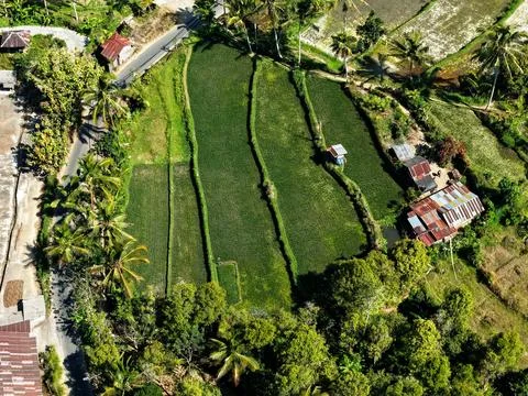 Top View of Rice Fields and Rural Homes in Munduk Bali Stock Photos