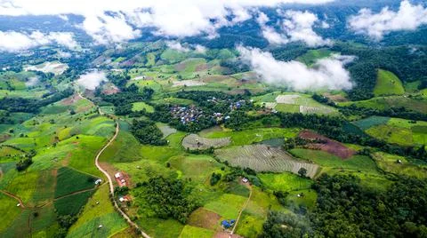 Top view rice fields on terraced  , rice plantations , Chiangmai province , N Stock Photos