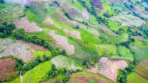 Top view rice fields on terraced  , rice plantations , Chiangmai province , N Stock Photos