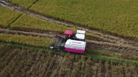 Top View Rice Harvester Machine. Stock Footage 156879889