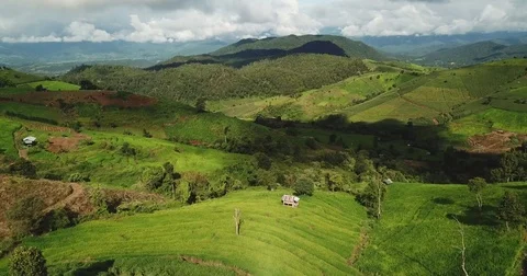 Top view of the rice paddy fields in northern Thailand Video stock 79726383