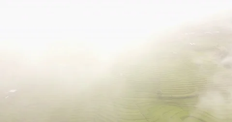 Top view of the rice paddy fields in northern Thailand Video stock 79726960