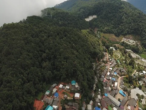 Top view of the rice paddy fields in northern Thailand Video stock 80018854