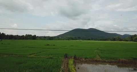 Top view of the rice paddy fields in northern Thailand Video stock 80106078