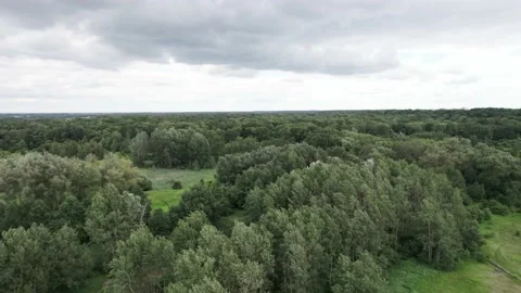 Top view of the rich green trees while gentle sun shining through. 4K Stock Footage 201744038
