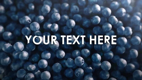 Top View of Ripe Blueberries Fall Into a Container, Luma Matte Incl. Video stock 118163468