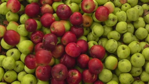 Top view of the ripe delicious red apples falling on the green apples Stock Footage 234139877