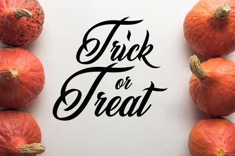 Top view ripe pumpkins rows Stock Photos