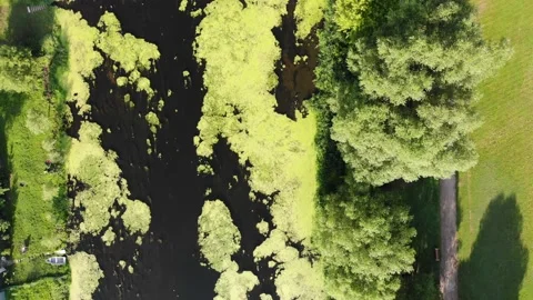 Top view of the river and green trees Video stock 142327257