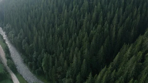 Top view of the river and its parallel road in the Carpathians, countryside in Stock-Footage 140646499