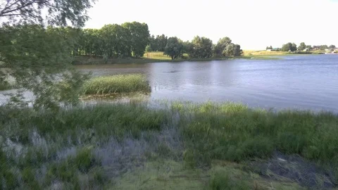 Top view of the river Bank. Stock Footage 92407473