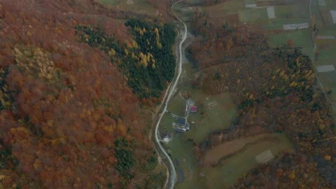 Top view on a river. Colorful forest Stock Footage 165165082