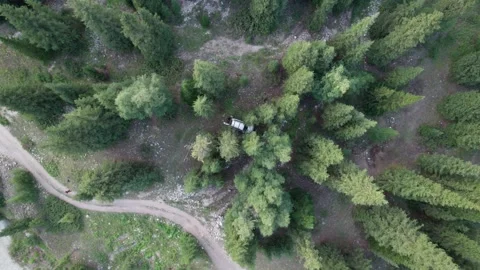 Top view of the river, fir trees, car and tourists Video stock 248119946