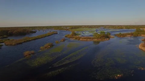 Top view of river floodplain in spring with bushes reeds grass in water aerial Stock Footage 77907904