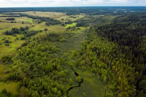 Top view of a river flowing through a wooded area Stock Photos