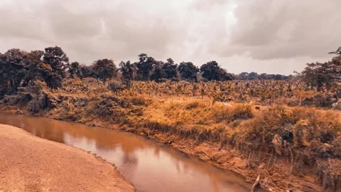 Top view of a river flowing in a tropical natural park. Mountain flow. Stock Footage 301295266