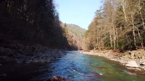 Top view of the river 库存影片 130243984