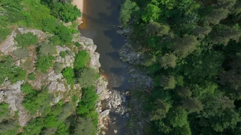 Top View of River in Forest Canyon Stock Footage 319887184