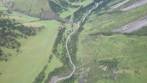 Top view of the river in the green gorge Vídeos de archivo 296283330