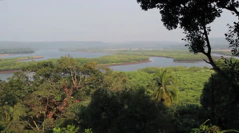 Top view on river in indian jungle Stock Footage 26379284