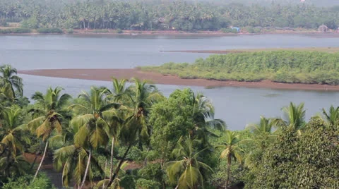 Top view on river in indian jungle Stock Footage 26379436