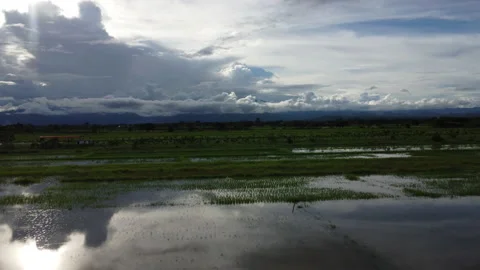 Top view of a river overflowing after heavy rain and flooding of agricultural fi Stock Footage 209776387