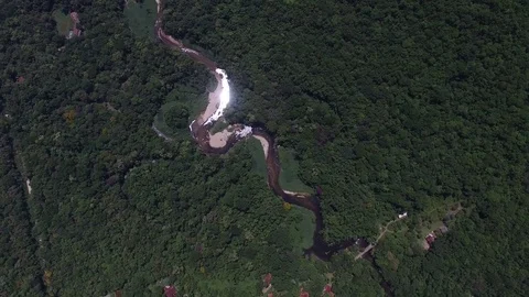 Top View of River in Rainforest, Latin America Stock Footage 73046975