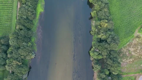 Top View Of River Stream Flowing Through Greenery Vegetations Stock Footage 247203802