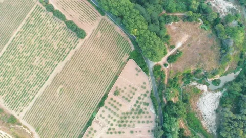 Top view of the road and grounds. Shooting from a drone. Stock Footage 220613519