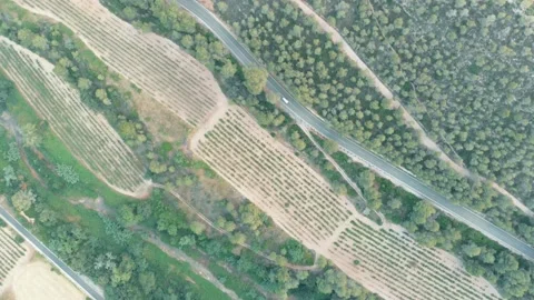 Top view of the road and grounds. Shooting from a drone. Stock Footage 220792068