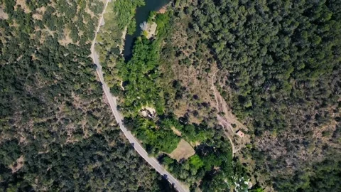 Top view of the road and the mountain lake surrounded by forest Stock Footage 241247416