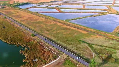 Top view of road cyclists next to a beautiful lake. Natural Park Comana Stock Footage 165059208