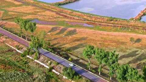Top view of road cyclists next to a beautiful lake. Natural Park Comana Stock Footage 165059221